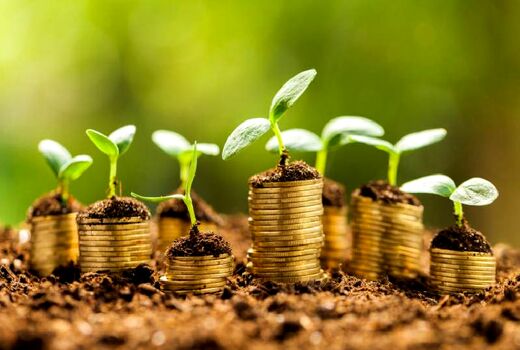 دریافت درخواست 20 هزار میلیارد ریال تسهیلات برای کسب و کارهای کشاورزی آسیب دیده از کرونا/بیشترین درخواست برای زیر رسته های مرغداری با 43 درصد