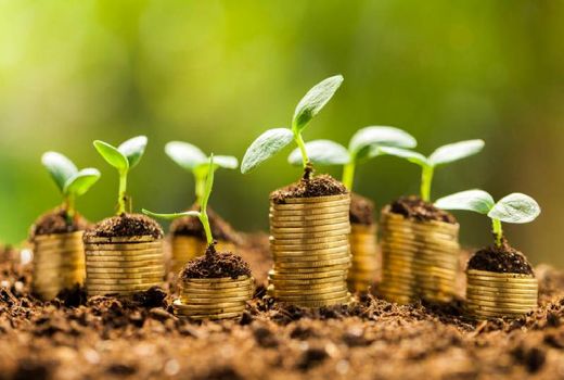 دریافت درخواست 20 هزار میلیارد ریال تسهیلات برای کسب و کارهای کشاورزی آسیب دیده از کرونا/بیشترین درخواست برای زیر رسته های مرغداری با 43 درصد