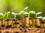 دریافت درخواست 20 هزار میلیارد ریال تسهیلات برای کسب و کارهای کشاورزی آسیب دیده از کرونا/بیشترین درخواست برای زیر رسته های مرغداری با 43 درصد