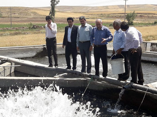 شهرستان ورزقان در مسیر توسعه و رونق تولید آبزی پروری قرار دارد