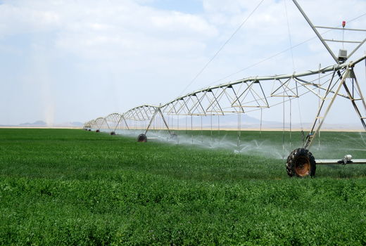 بیش از4800 هکتارسیستم آبیاری نوین درسیستان وبلوچستان اجراشد