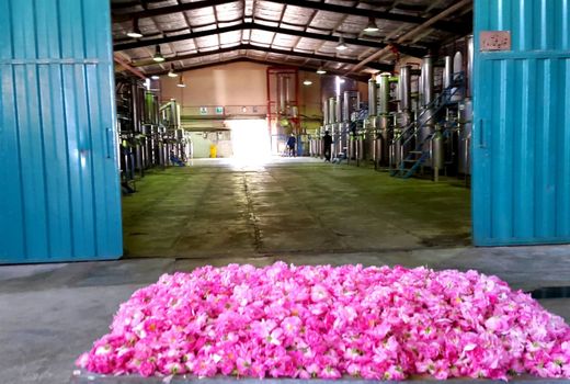 لزوم تقویت زنجیره تولیدصنایع تبدیلی برای افزایش فرآوری و کاهش ضایعات محصولات کشاورزی