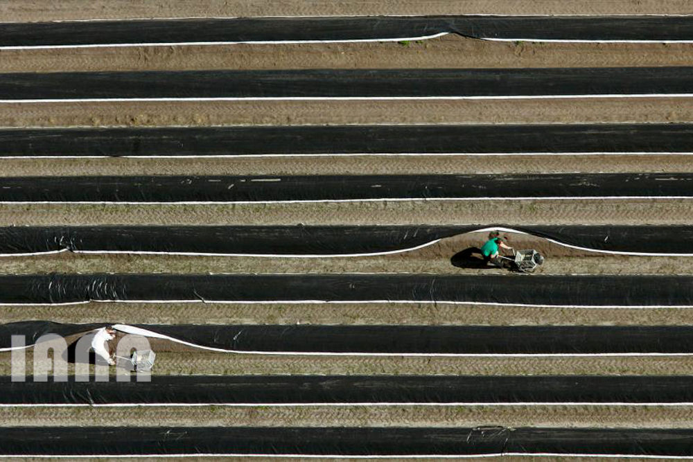 هندسه کشاورزی