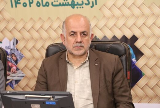 زنان تسهیل گر روستایی برای تحقق شعار سال فکر و ایده‌های تازه‌ای دارند