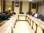 توسعه کشت دیم  بهره‌وری آب را افزایش می‌دهد