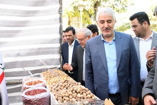 نمایش توانمندی‌های کشاورزی خسروشاه در حاشیه نخستین جشنواره بادام