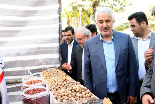 نمایش توانمندی‌های کشاورزی خسروشاه در حاشیه نخستین جشنواره بادام