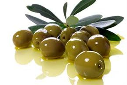 تولید 120 هزار تن زیتون در کشور 