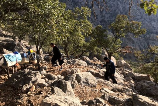 اعزام اکیپ‌های واکنش سریع دامپزشکی به مناطق زلزله‌زده استان خوزستان با هدف پیشگیری از شیوع بیماری‌های مختلف