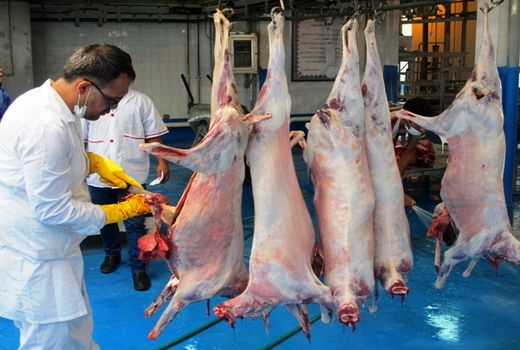 پیش از خرید گوشت، مهر تایید دامپزشکی را ببینید