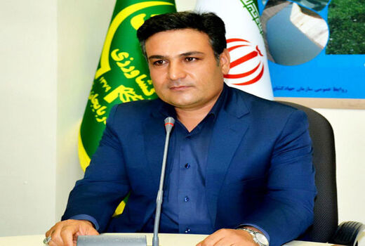  کشت 64 هکتار کلزای پائیزه برای اولین بار در شهرستان مراغه
