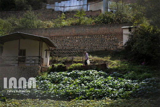 روستای زیارت