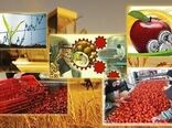 اختصاص ۱۴ پروژه نقشه جهش تولید بخش کشاورزی زنجان