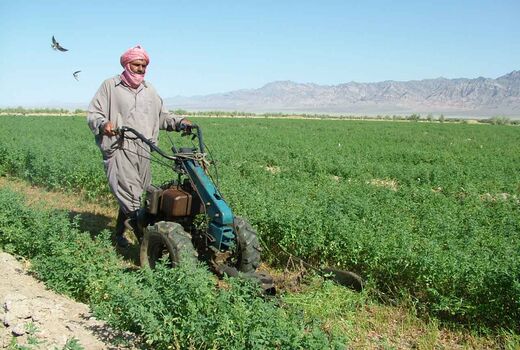 پرداخت22میلیارتومان تسهیلات به کشاورزان سیستان وبلوچستان 