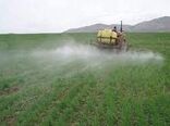 نیاز ۷ میلیارد تومانی برای مبارزه با آفات غلات کشت شده در خراسان شمالی