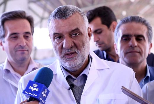 اصلاح نژاد دام سبک راهکار افزایش تولید گوشت در کشور