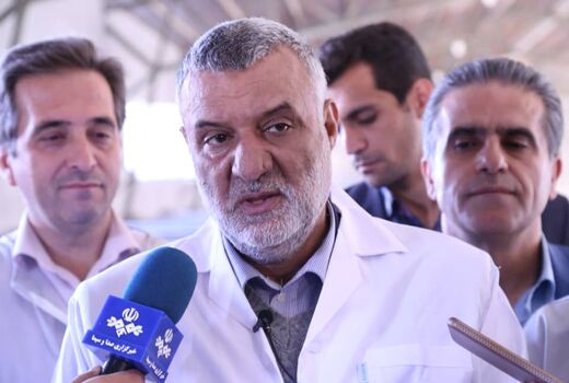 اصلاح نژاد دام سبک راهکار افزایش تولید گوشت در کشور