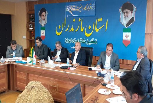 برخورد قانونی با گران‌فروشی مرغ