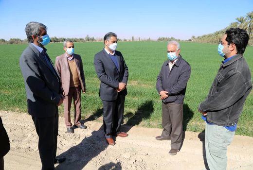 بازدید مشاور وزیر جهادکشاورزی و مدیر کل دفتر هماهنگی امور استانها از ظرفیت های بخش کشاورزی حاجی آباد