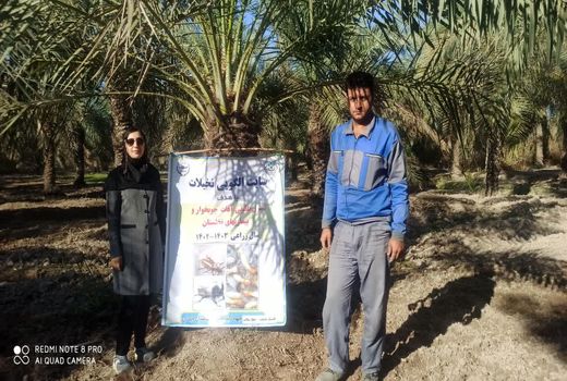 آغاز پروژه ردیابی و مبارزه با آفات چوبخوار نخیلات در آبادان