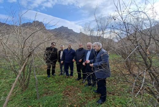 هم‌افزایی سازمان برنامه و بودجه و جهاد کشاورزی برای ارتقای بهره‌وری آب