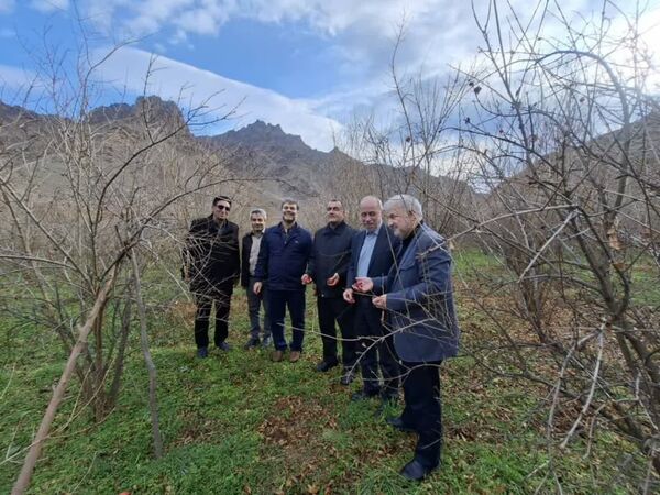 هم‌افزایی سازمان برنامه و بودجه و جهاد کشاورزی برای ارتقای بهره‌وری آب