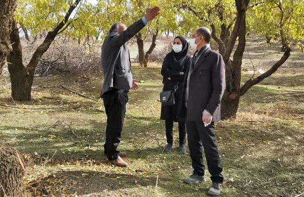 آغاز پایش باغات شهرستان سامان 