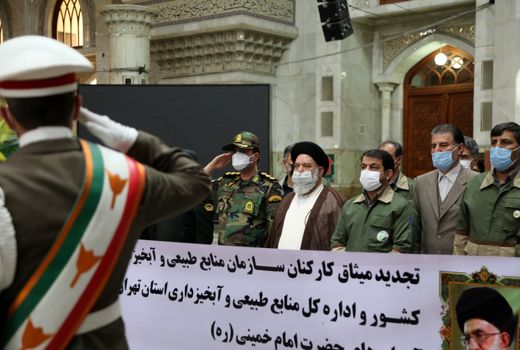 امنیت زیستی در گرو صیانت از جنگل‌ها است