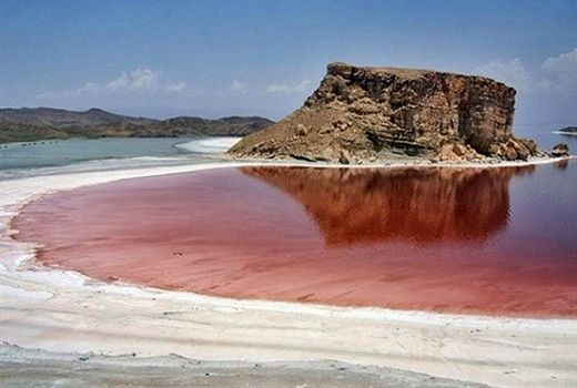 تامین غذای باکیفیت برای آبزیان با پرورش ریزجلبک‌ها در حاشیه دریاچه ارومیه