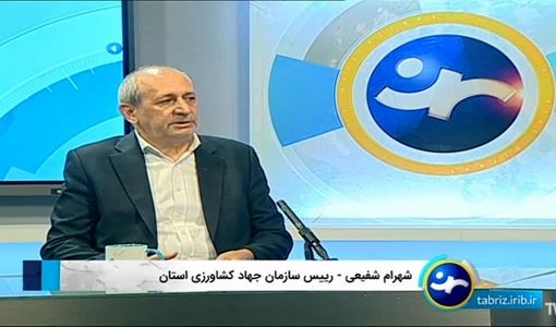 جهش بیمه کشاورزی در آذربایجان شرقی/ سطح پوشش اراضی زراعی از ۲۲۵ هزار به بیش از ۶۰۰ هزار هکتار رسید