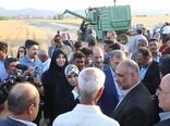 گام بلند خودکفایی گندم در دولت سیزدهم/ امسال نیاز به واردات نداریم