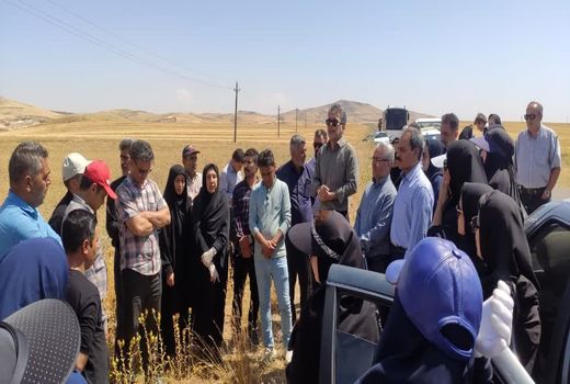 بازدید مشترک زنجان و آذربایجان شرقی برای توسعه کشت گیاهان دارویی