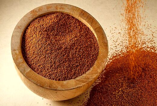 کشت خاکشیر برای اولین بار در فراشبند