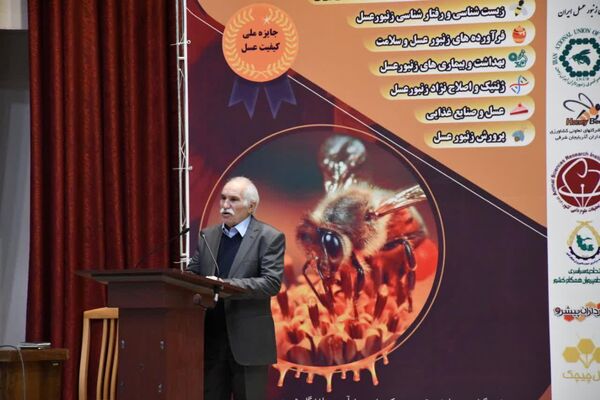 وجود بیش از یک میلیون کندوی مدرن و بومی در آذربایجان شرقی