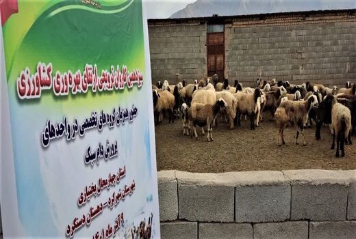 آغاز به کار اولین کاروان ترویجی ارتقای بهره وری کشاورزی ویژه دام سبک در استان چهارمحال و بختیاری