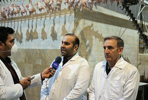  آغاز طرح ارتقاء کیفیت گوشت مرغ در آذربایجان شرقی