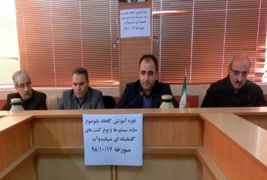 تاکید بر اهمیت توسعه گلخانه‌ها در رونق تولید و اشتغال پایدار در میاندوآب