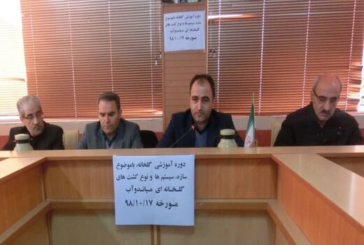 تاکید بر اهمیت توسعه گلخانه‌ها در رونق تولید و اشتغال پایدار در میاندوآب