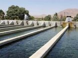 رشد چشمگیر تولید ماهی در قزوین؛ ۴ هزار تن ماهی سردآبی و ۷۴۰ تن ماهی گرمابی تا نیمه آذرماه