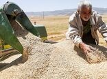 تاکنون ۳٠ هزار تن گندم از کشاورزان اصفهانی خریداری شده است