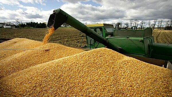 فعالیت 63 مرکز خرید تضمینی گندم در آذربایجان غربی 