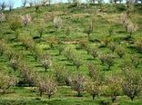 بهره مندی از مجوز تثبیت بنای غیر مجاز در باغات