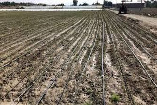 اجرای آبیاری نوین در آران و بیدگل ۴ برابر رشد داشت