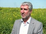 گلستان پیشرو مرحله نخست طرح نظام نوین ترویج در کشور شناخته شد