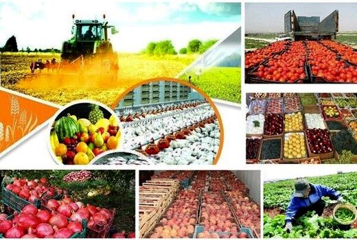 کرونا به ۱۳ رسته کشاورزی همدان خسارت زد