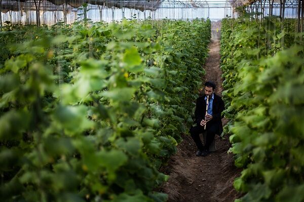 دستورالعمل ساماندهی و صدور مجوز واحدهای گلخانه کوچک‌مقیاس تا نیمه اردیبهشت ابلاغ می‌شود/ گلخانه‌های زیر 3000 متر مجوزدار می‌شوند