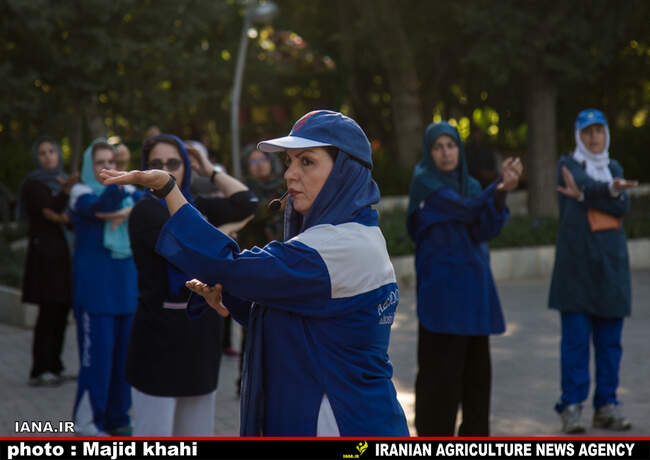 نرمش صبحگاهی