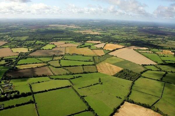 جشن سند دار شدن تمام اراضی کشاورزی، در آینده‌ای نه چندان دور/ خداحافظی با تغییر کاربری اراضی کشاورزی 