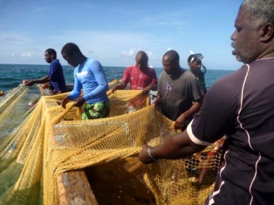 برای حفاظت از اقیانوس‌ها، تدوین شیوه‌نامه رفتاری لازم است