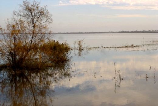 آبگیری تالاب آلاگل با تأمین حق‌آبه